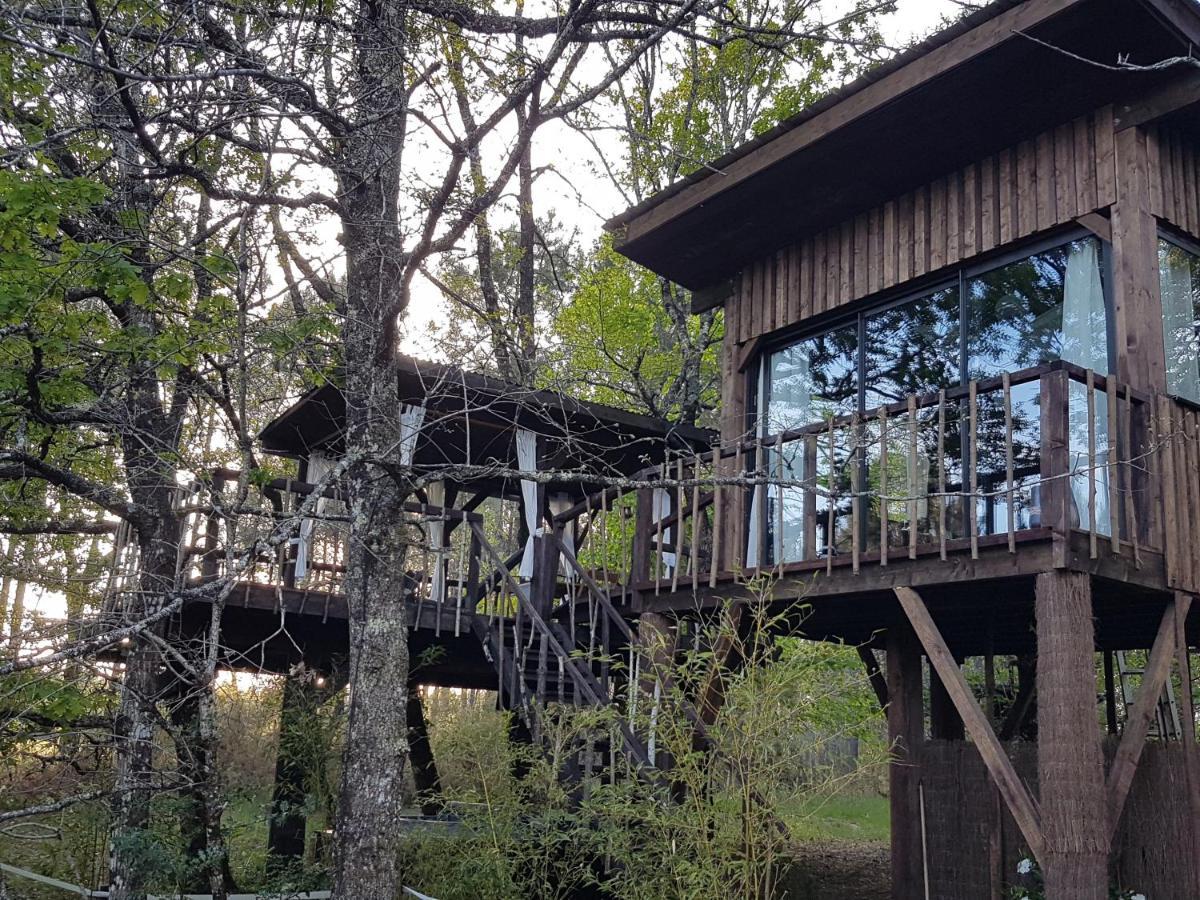 Les Landines Bed and Breakfast Origne  Buitenkant foto