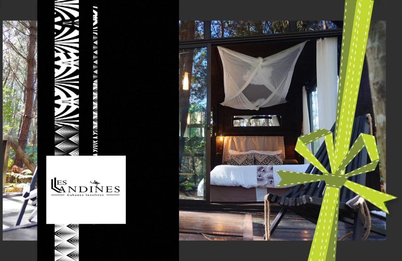 Les Landines Bed and Breakfast Origne  Buitenkant foto