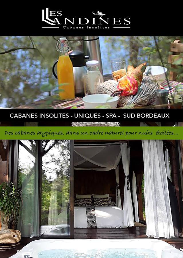 Les Landines Bed and Breakfast Origne  Buitenkant foto