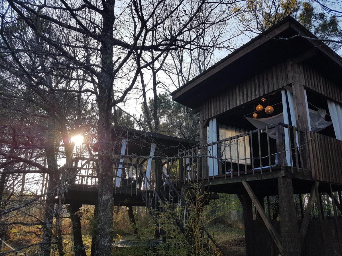 Les Landines Bed and Breakfast Origne  Buitenkant foto