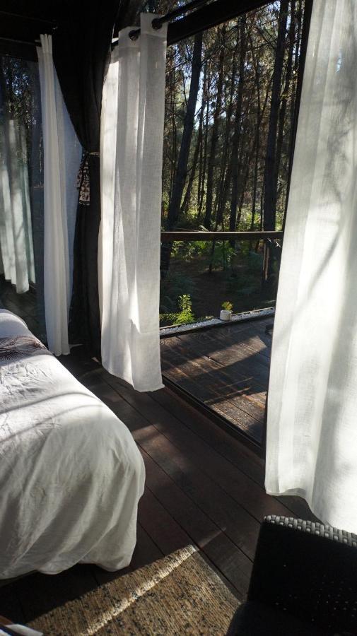 Les Landines Bed and Breakfast Origne  Buitenkant foto