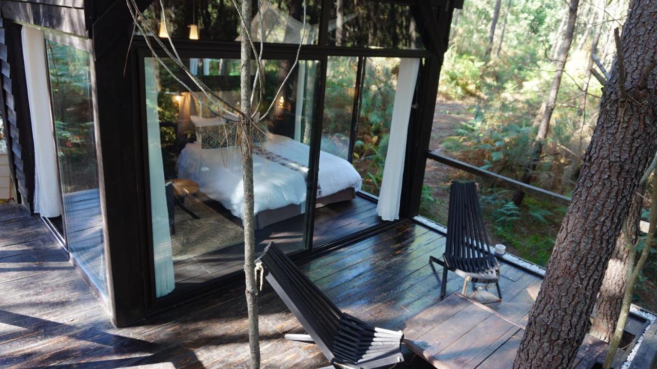 Les Landines Bed and Breakfast Origne  Buitenkant foto