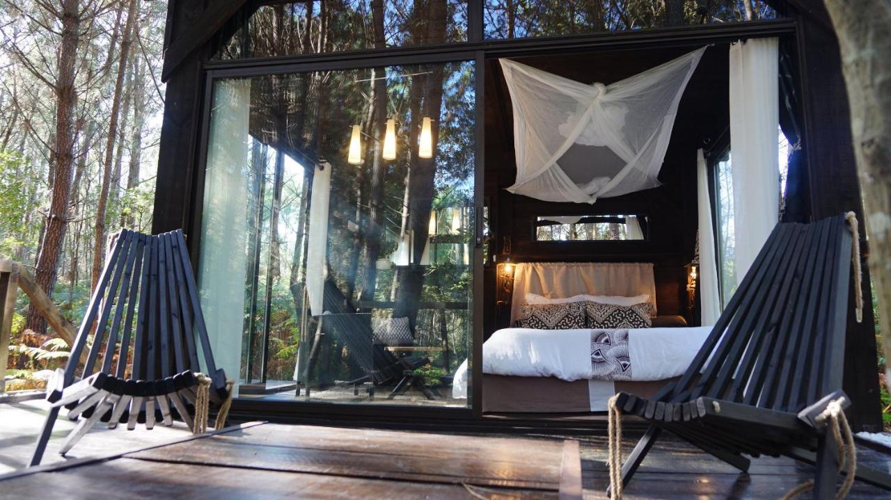 Les Landines Bed and Breakfast Origne  Buitenkant foto