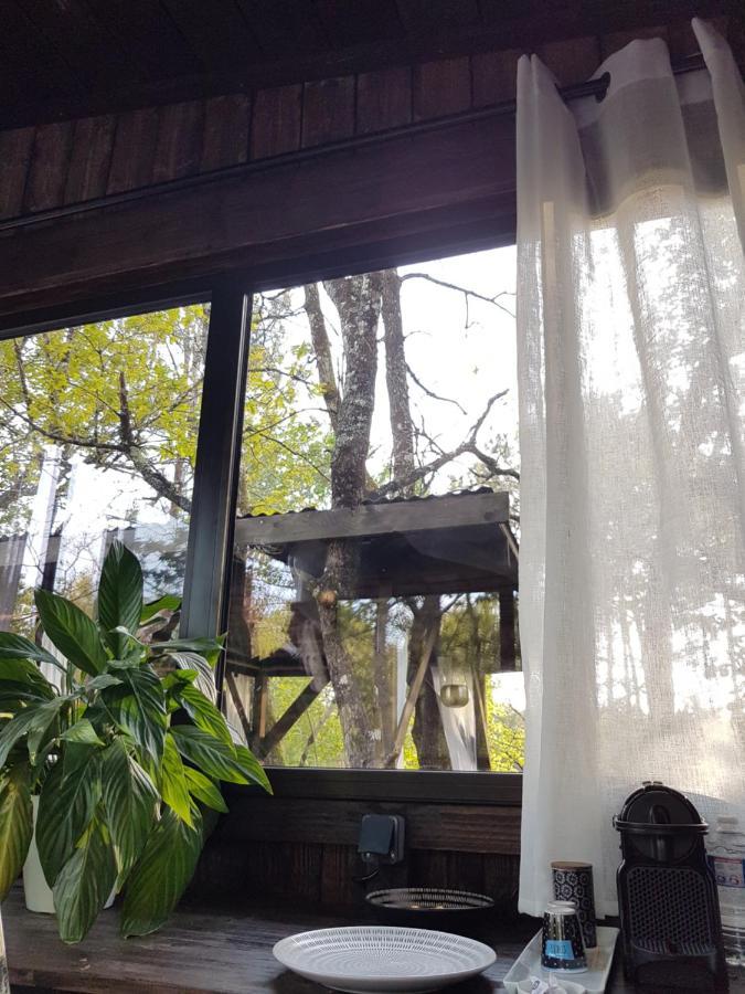 Les Landines Bed and Breakfast Origne  Buitenkant foto