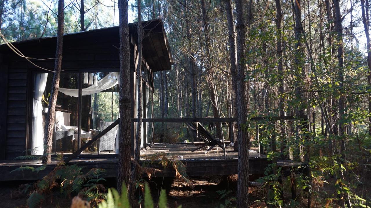 Les Landines Bed and Breakfast Origne  Buitenkant foto